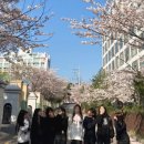 해피했던 이공이사