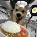 꿈두레도서관 화장실 | 적당히론 배가 차지 않아... 들이켜 마치 하마....