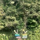 양아목장 | 양평 양떼목장 여름 방문 입장료 내고 먹이주기 체험