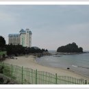 콘도여행
