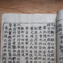 산호진주 이미지