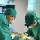 우리들40플란트치과병원 | [공지] 아산정플란트치과를 찾아주시는 분들께 약속드리는 3가지 - 정용태 대표원장