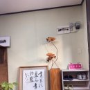 담녹 이미지