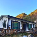 왕피천힐링팜 이미지