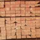 11500-12-25-12 이미지