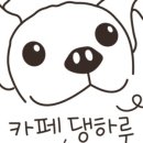 카페 댕하루 이미지