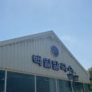 [춘천-백일 칼국수] 공지천 근처 칼국수 맛집 추천 🍜