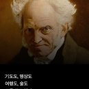 더자라 이미지