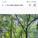 대공원역1번출구 이미지