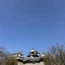 김밥천국안중현화점 | [공지] 마쓰야마성 다녀오고 맛집 투어하는 하루 [모토야마 도미밥 야키토리 스미노야토사카]