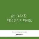 인디자인두피탈모