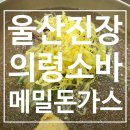 진장유통로 | [울산 진장 맛집] 여름엔 역시 메밀과 돈가스! 의령소바, 내돈내산 후기
