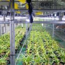 햇살농장 태양광 이미지