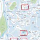 협동조합관악위즐 | 9살 아이와 서울대 관악캠퍼스 가을 투어 후기 (식당 정보, 코스 추천)