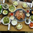 돈돼야지 이미지