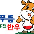 늘푸름 홍천한우 농장 이미지