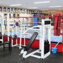 세계복싱클럽 이미지