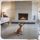 인제축산업협동조합 동물병원 | 인제 애견분양으로 시작한 보더콜리와의 첫날 그리고 현실적인 반려 준비기