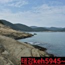 태강수산 네이버블로그