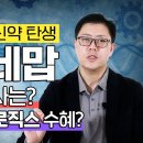 레카네맙, 알츠하이머 신약 탄생! 치매 치료제 시장의 전망은? | 삼성바이오로직스 젬백스앤카엘 아리바이오 이미지