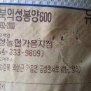 금성농협 가음지점 이미지