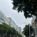 도깨비수제베이커리 | 안산 상록구 카페 라디오 초록초록한 뷰가 예쁜 소금빵 전문점