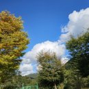 캠프 올모 이미지