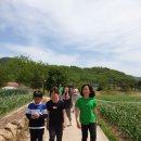 길안초등학교길송분교장 이미지