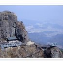 멍사무소 이미지