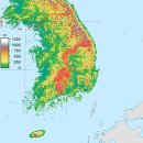농수산물도매시장 조 | 허생전, 문학의 기능 그리고 다이소