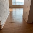 들성로-1 이미지