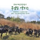 청파농장 이미지