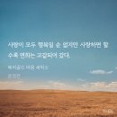 파랑새 세탁소 네이버블로그