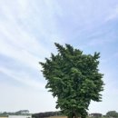 영자네돼지국밥 이미지