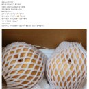 달구나 나주배 ㅡ 4키로 15,000원 무료배송 // 맛있는 홍게 쪄서 보내드려요~* 이미지