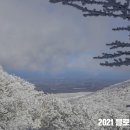 한라산방역