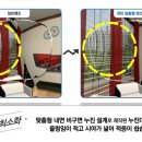 다비치 안경 이미지