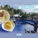 해양레져민박 | 보홀 0.5일 입국팩 시원리조트(구 버진아일랜드) 공항 픽업, 픽드랍 조식 내돈내산