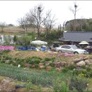 도안농장 이미지