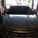 푸른카정비 이미지