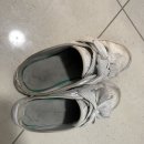 롯데온 <b>롯데닷컴</b>일 때부터 쓰던 나, ,, 푸마 뮬 리본 운동화 1년 사이 가격이 2배가 됐네 ㅎㄷㄷ