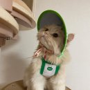 힐링스킨케어 이미지