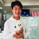 남지애견샵 이미지