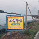 유림농장 이미지