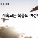 5월 31일(금) 계속되는 복음의 여정 이미지