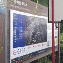 청룡사 등산로 이미지