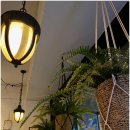 피스피자 이미지