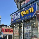 대천 맛집 보령 맛집 대천본가 해물뚝배기 솔직 후기‼️ 내돈내산 애견 동반 가능 주차 가능