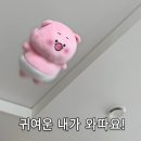 짱인형shop | 대전 소품샵 추천｜둔산동 잠시다락 본점 볼꾸·꿈돌이 굿즈 프렐류드 방문 후기