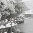 죽향민박 이미지